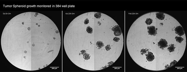 物料機(jī)系列 物料機(jī)系列