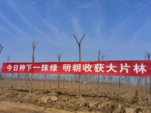 河南大誠機械 河南大誠機械