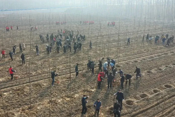 河南大誠機械 河南大誠機械